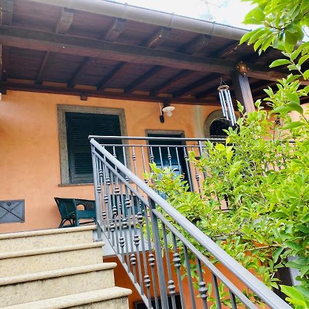 Villa Mariposa Nettuno Bagian luar foto