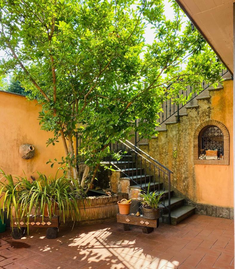 Villa Mariposa Nettuno Bagian luar foto