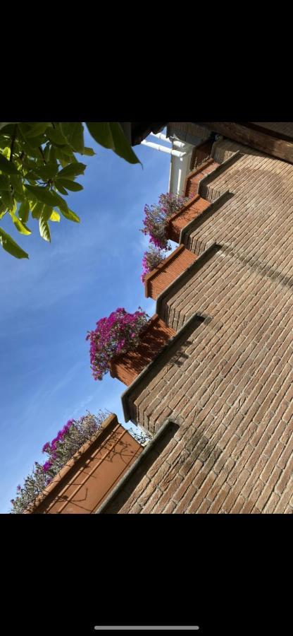 Villa Mariposa Nettuno Bagian luar foto