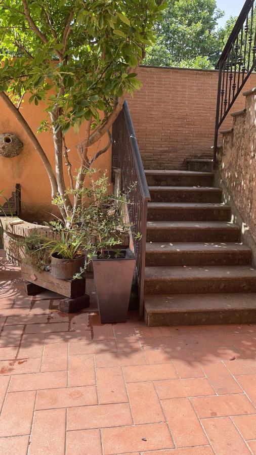 Villa Mariposa Nettuno Bagian luar foto